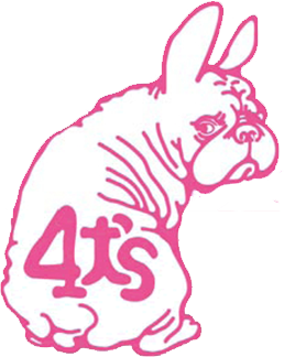 4犬s